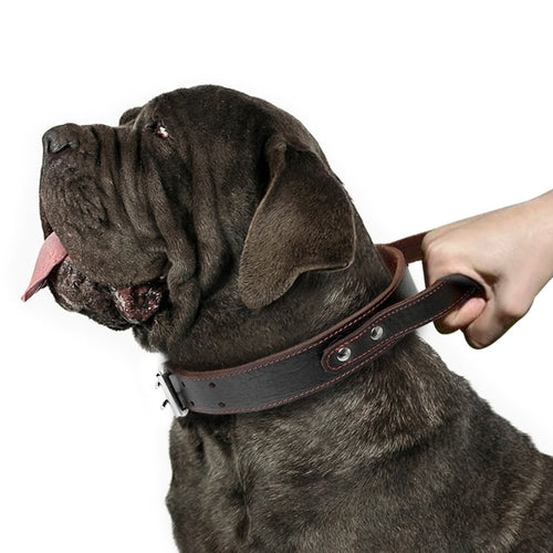 Genuine Leather Dog Collar - Real Leather for Medium & Large Dogs
