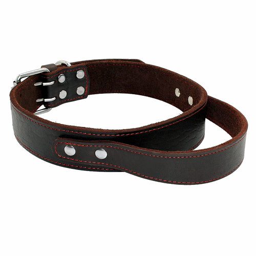Genuine Leather Dog Collar - Real Leather for Medium & Large Dogs
